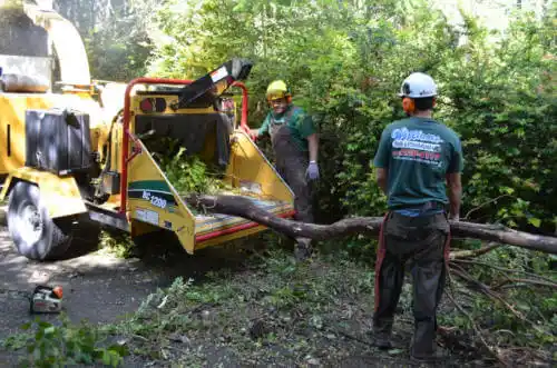 tree services Coeur d'Alene